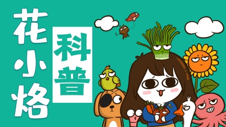 花小烙的知识科普