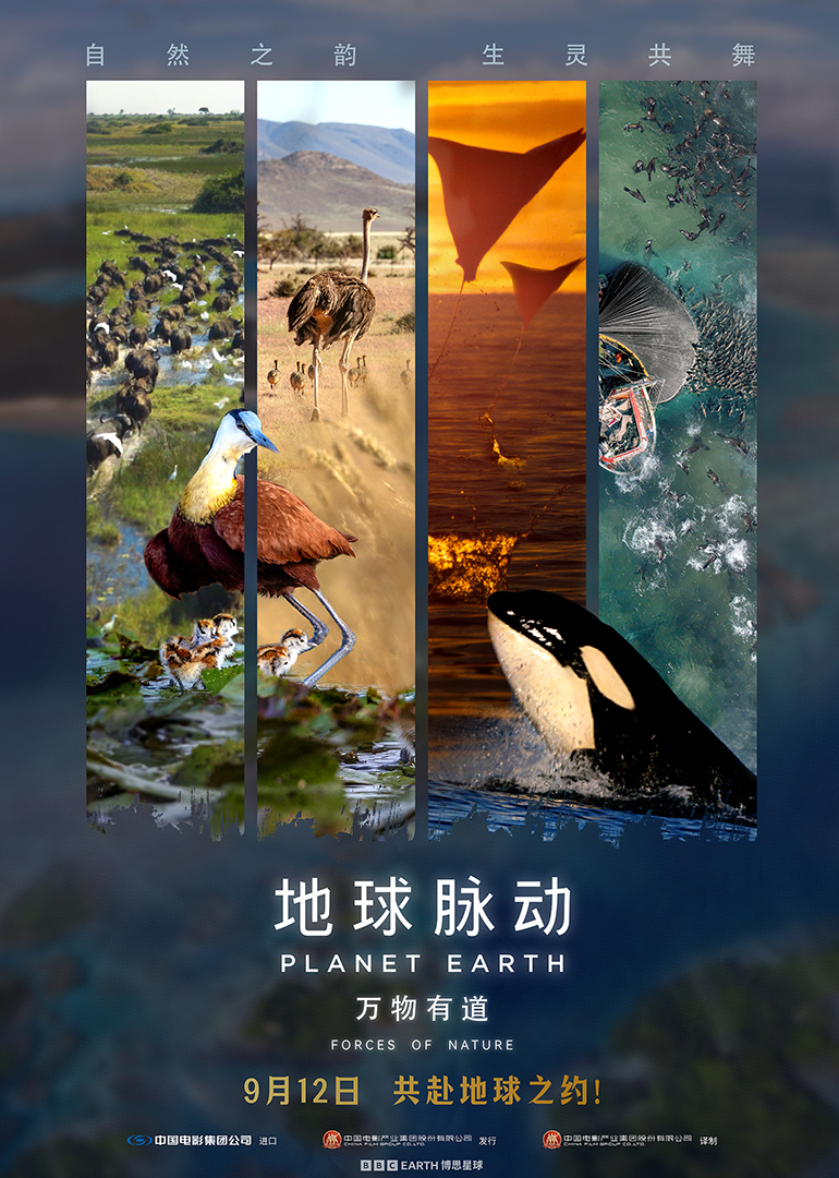 地球脉动：万物有道